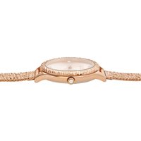 Watch Alviero Martini Woman Ibiza in Steel CS.4629S/01M - CS.4629S/01M